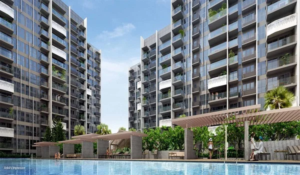 Prestige Evergreen Featured image of Prestige Evergreen